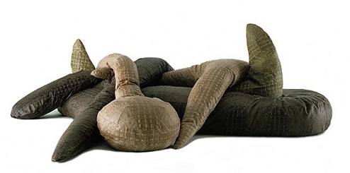 Kaiman katarè campana brothers